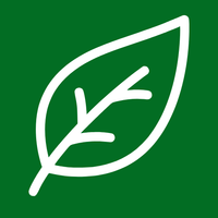 Linforiva